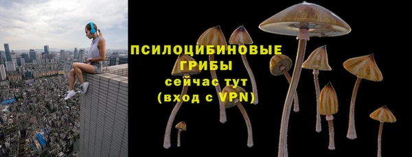 a pvp Арсеньев