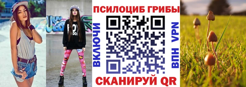 что такое наркотик  Новотитаровская  маркетплейс официальный сайт  Псилоцибиновые грибы Psilocybe 